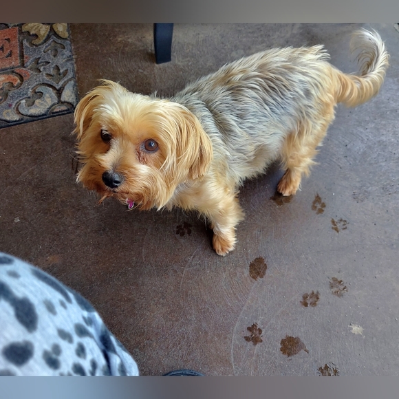 ๐ฅฐ๐๐๐โค๏ธ - Picture 3 of 3